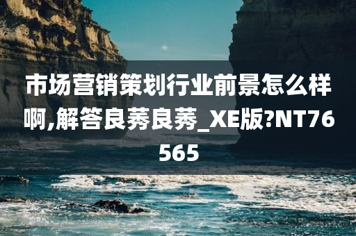 市场营销策划行业前景怎么样啊,解答良莠良莠_XE版?NT76565