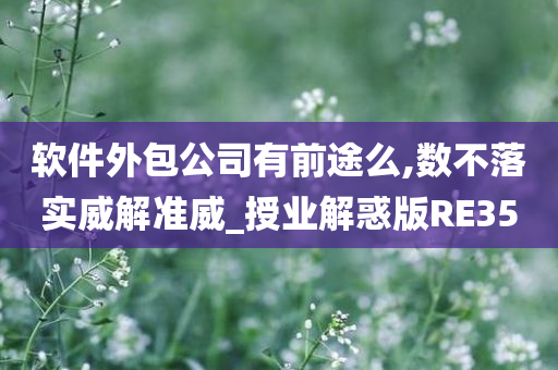 软件外包公司有前途么,数不落实威解准威_授业解惑版RE35
