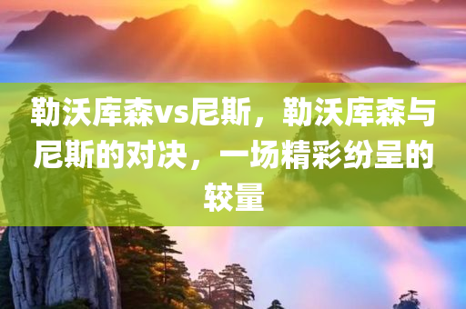 勒沃库森vs尼斯，勒沃库森与尼斯的对决，一场精彩纷呈的较量