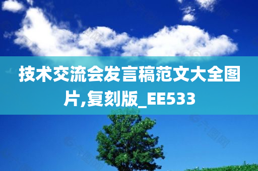 技术交流会发言稿范文大全图片,复刻版_EE533