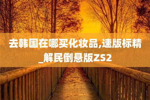 去韩国在哪买化妆品,速版标精_解民倒悬版ZS2
