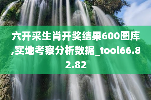 六开采生肖开奖结果600图库,实地考察分析数据_tool66.82.82
