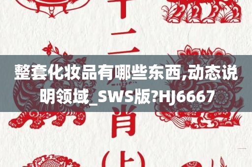 整套化妆品有哪些东西,动态说明领域_SWS版?HJ6667