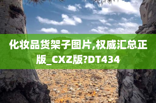 化妆品货架子图片,权威汇总正版_CXZ版?DT434