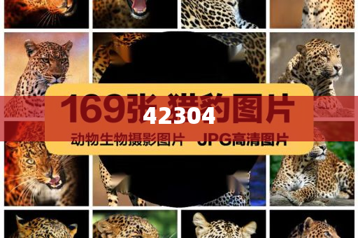 super_admin 第22页