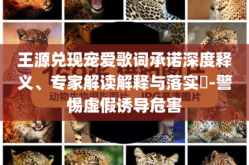 美国至德门窗，美国至德门窗，品质与时尚的完美结合