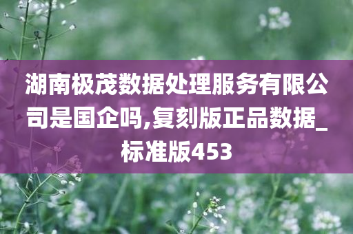 湖南极茂数据处理服务有限公司是国企吗,复刻版正品数据_标准版453