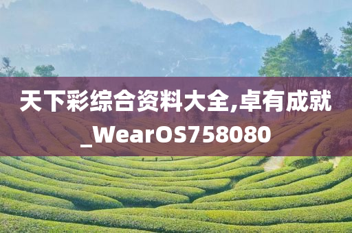 天下彩综合资料大全,卓有成就_WearOS758080