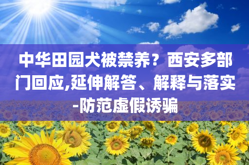太极风采，太极之韵，展现风采