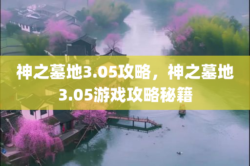 神之墓地3.05攻略，神之墓地3.05游戏攻略秘籍