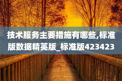 技术服务主要措施有哪些,标准版数据精英版_标准版423423