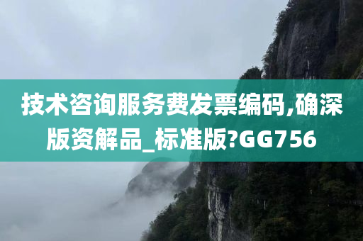 技术咨询服务费发票编码,确深版资解品_标准版?GG756