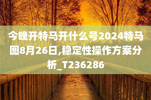 今晚开特马开什么号2024特马图8月26日,稳定性操作方案分析_T236286