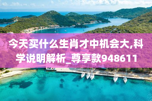 今天买什么生肖才中机会大,科学说明解析_尊享款948611