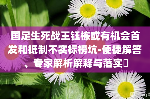 游泳池br，游泳池，清凉一夏的畅游天地
