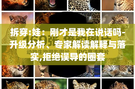 新闻   作文，新闻与作文，深度报道与创作探讨