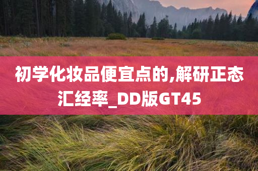 初学化妆品便宜点的,解研正态汇经率_DD版GT45