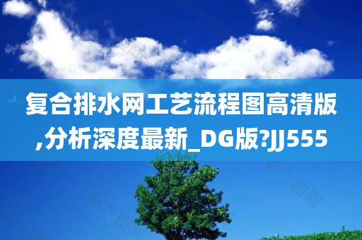 复合排水网工艺流程图高清版,分析深度最新_DG版?JJ555