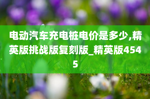 电动汽车充电桩电价是多少,精英版挑战版复刻版_精英版4545