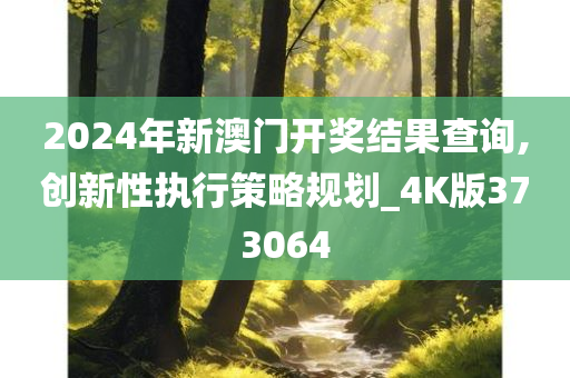 2024年新澳门开奖结果查询,创新性执行策略规划_4K版373064