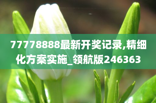 77778888最新开奖记录,精细化方案实施_领航版246363