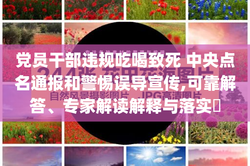 绶溪公园作文400字，绶溪公园的美景与故事作文