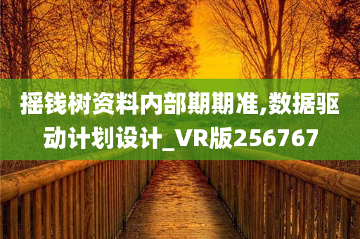 摇钱树资料内部期期准,数据驱动计划设计_VR版256767