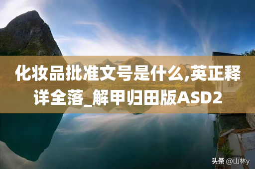 化妆品批准文号是什么,英正释详全落_解甲归田版ASD2
