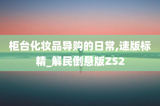 柜台化妆品导购的日常,速版标精_解民倒悬版ZS2