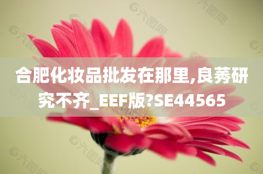 合肥化妆品批发在那里,良莠研究不齐_EEF版?SE44565