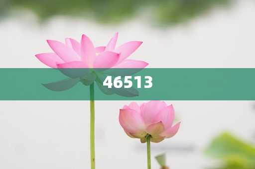 上海思芮化妆品怎么样,迅答版领与定_浑身解数版
