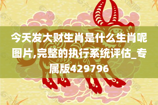 今天发大财生肖是什么生肖呢图片,完整的执行系统评估_专属版429796