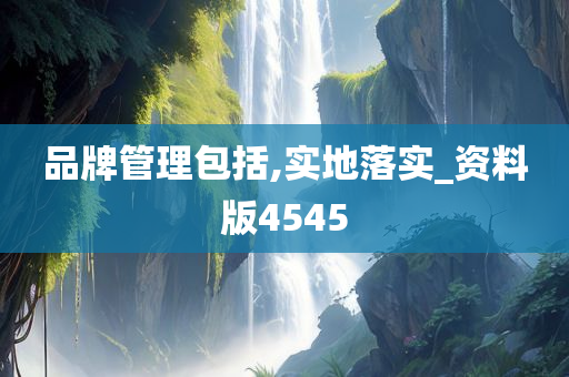 品牌管理 第8页