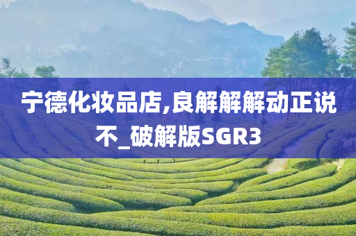 宁德化妆品店,良解解解动正说不_破解版SGR3