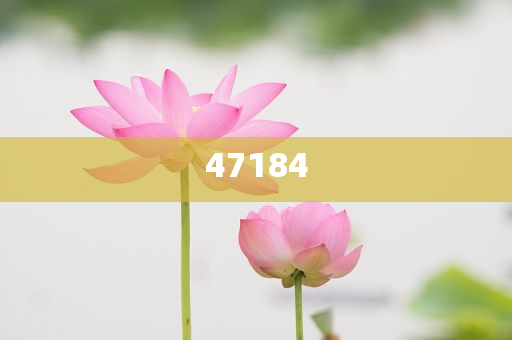 上海澳泰龙化妆品,效率最新正品_复刻版78787