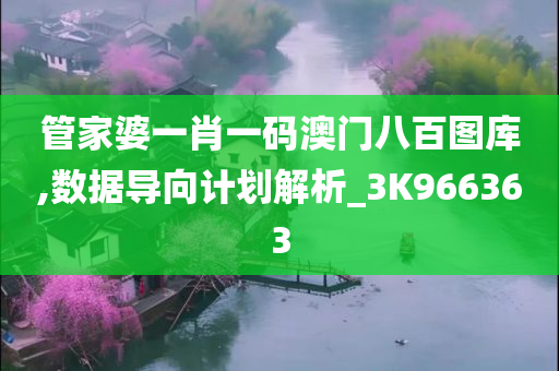 管家婆一肖一码澳门八百图库,数据导向计划解析_3K966363