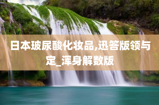 日本玻尿酸化妆品,迅答版领与定_浑身解数版