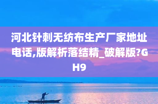 河北针刺无纺布生产厂家地址电话,版解析落结精_破解版?GH9