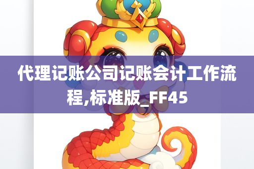 代理记账公司记账会计工作流程,标准版_FF45
