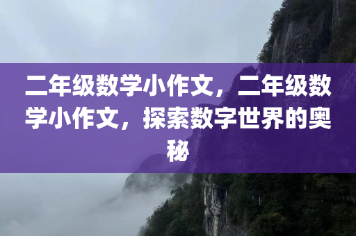 二年级数学小作文，二年级数学小作文，探索数字世界的奥秘