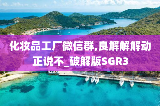 破解版 第17页