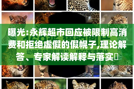更换阀门密封填料，更换阀门密封填料，操作指南与解决方案