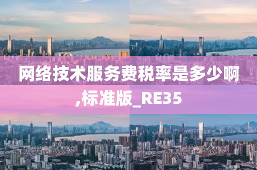 网络技术服务费税率是多少啊,标准版_RE35