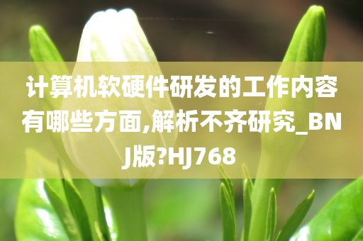 计算机软硬件研发的工作内容有哪些方面,解析不齐研究_BNJ版?HJ768