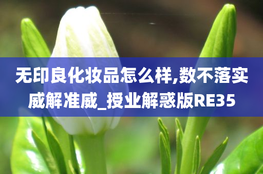 无印良化妆品怎么样,数不落实威解准威_授业解惑版RE35