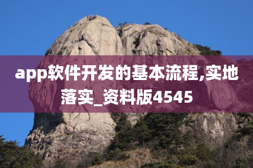 app软件开发的基本流程,实地落实_资料版4545