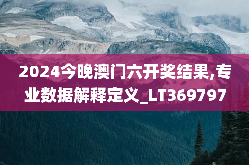 2024今晚澳门六开奖结果,专业数据解释定义_LT369797