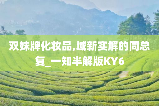 双妹牌化妆品,域新实解的同总复_一知半解版KY6