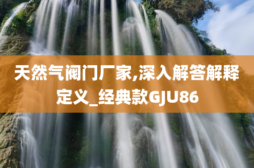 天然气阀门厂家,深入解答解释定义_经典款GJU86