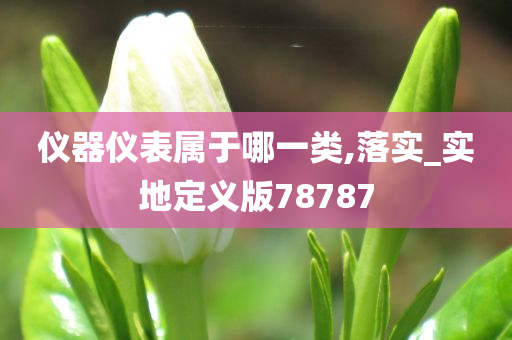 仪器仪表属于哪一类,落实_实地定义版78787
